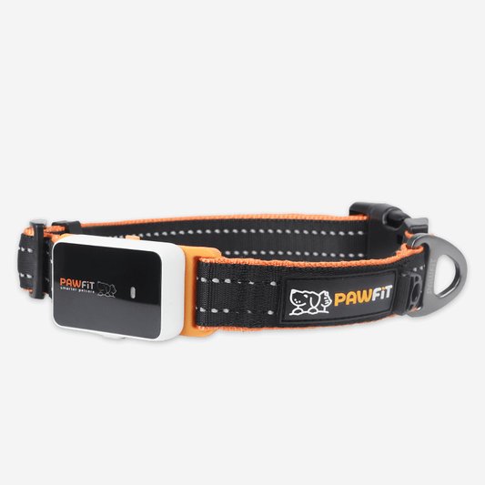 Pawfit 3 Collar Medium