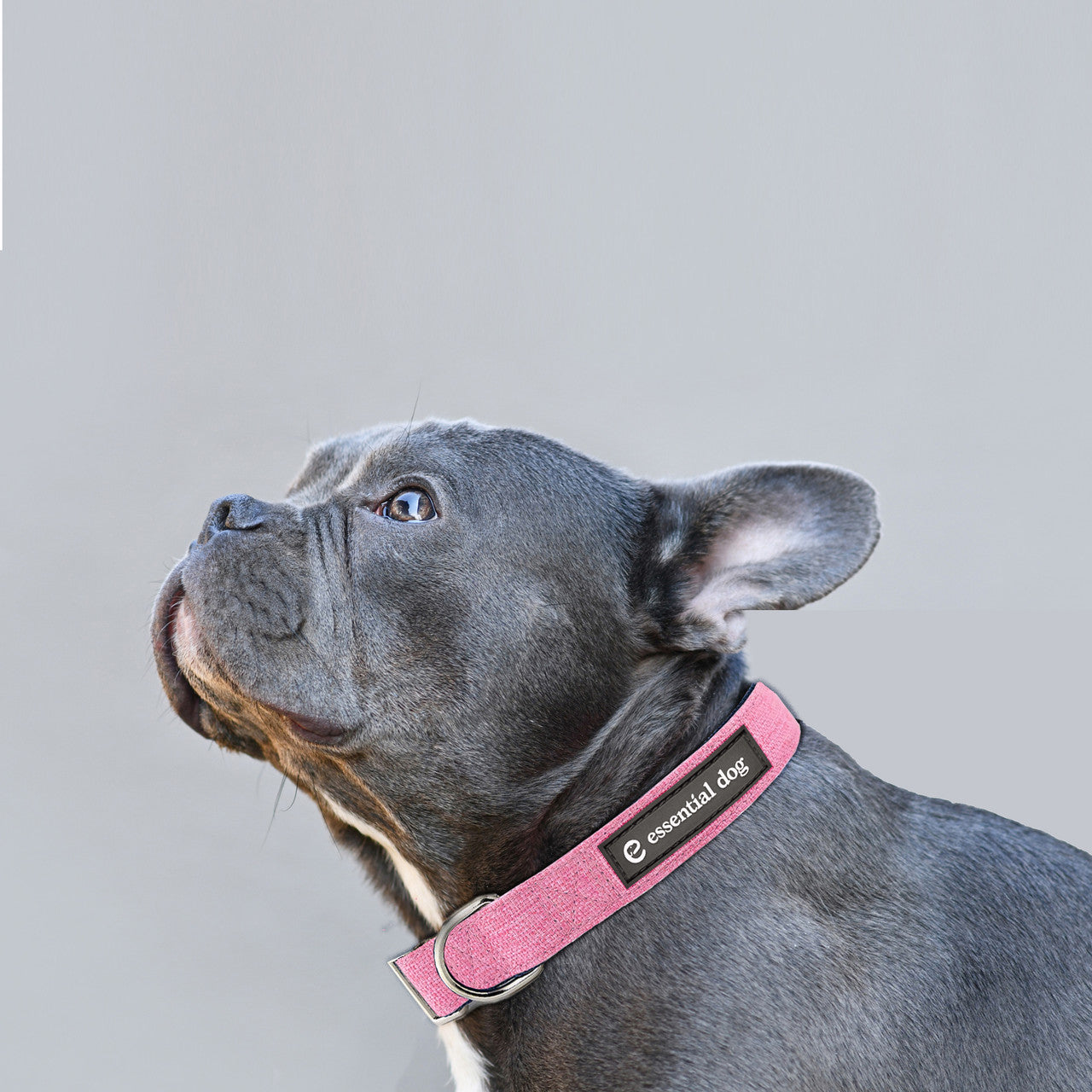 Natural Hemp & Cotton Dog Collar (Pretty Pink) LARGE