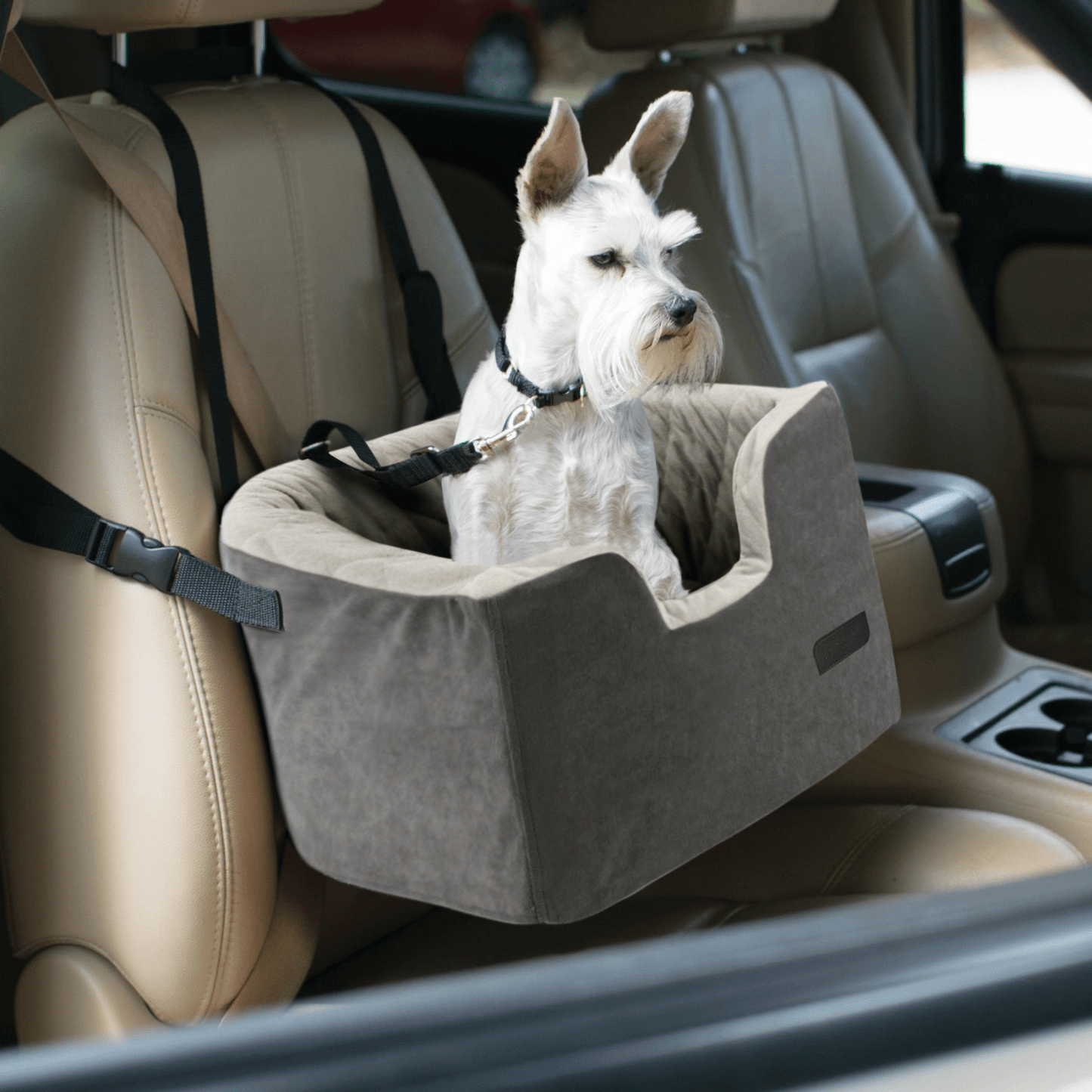 Quilted Dog Booster Seat