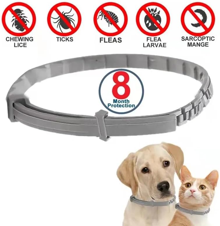 PawfectFriend Flea Collar for Dogs 8 Months Natural Flea Tick Collar for Dog Puppy